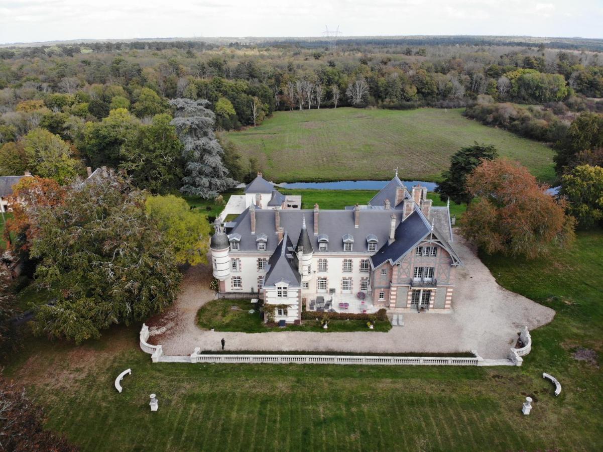 Chateau De La Faye Menetreol-sur-Sauldre Exterior photo