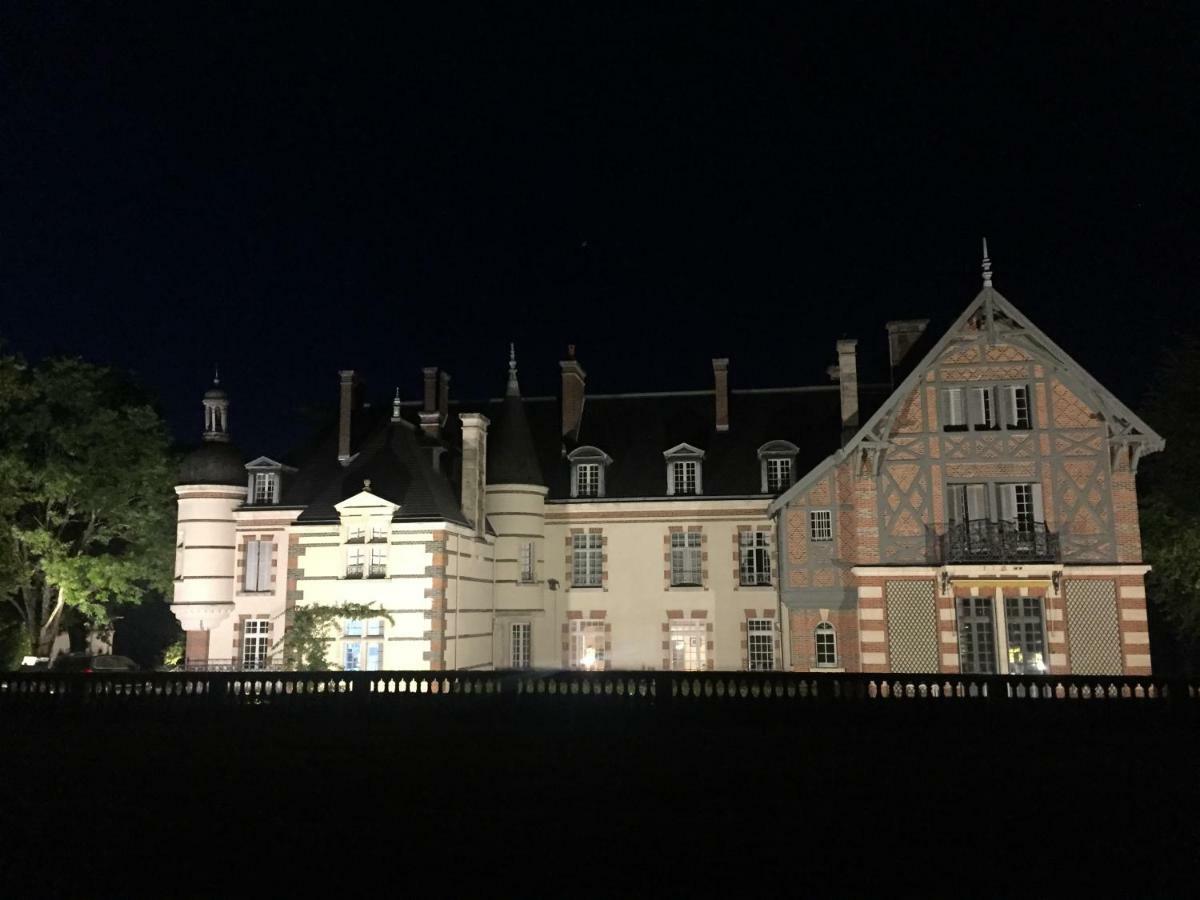 Chateau De La Faye Menetreol-sur-Sauldre Exterior photo